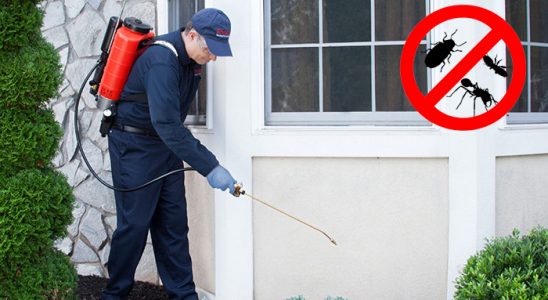 Yenipazar Bit İlaçlama böcek ilaçlama ve haşere kontrolü — ilaclama-tr.com